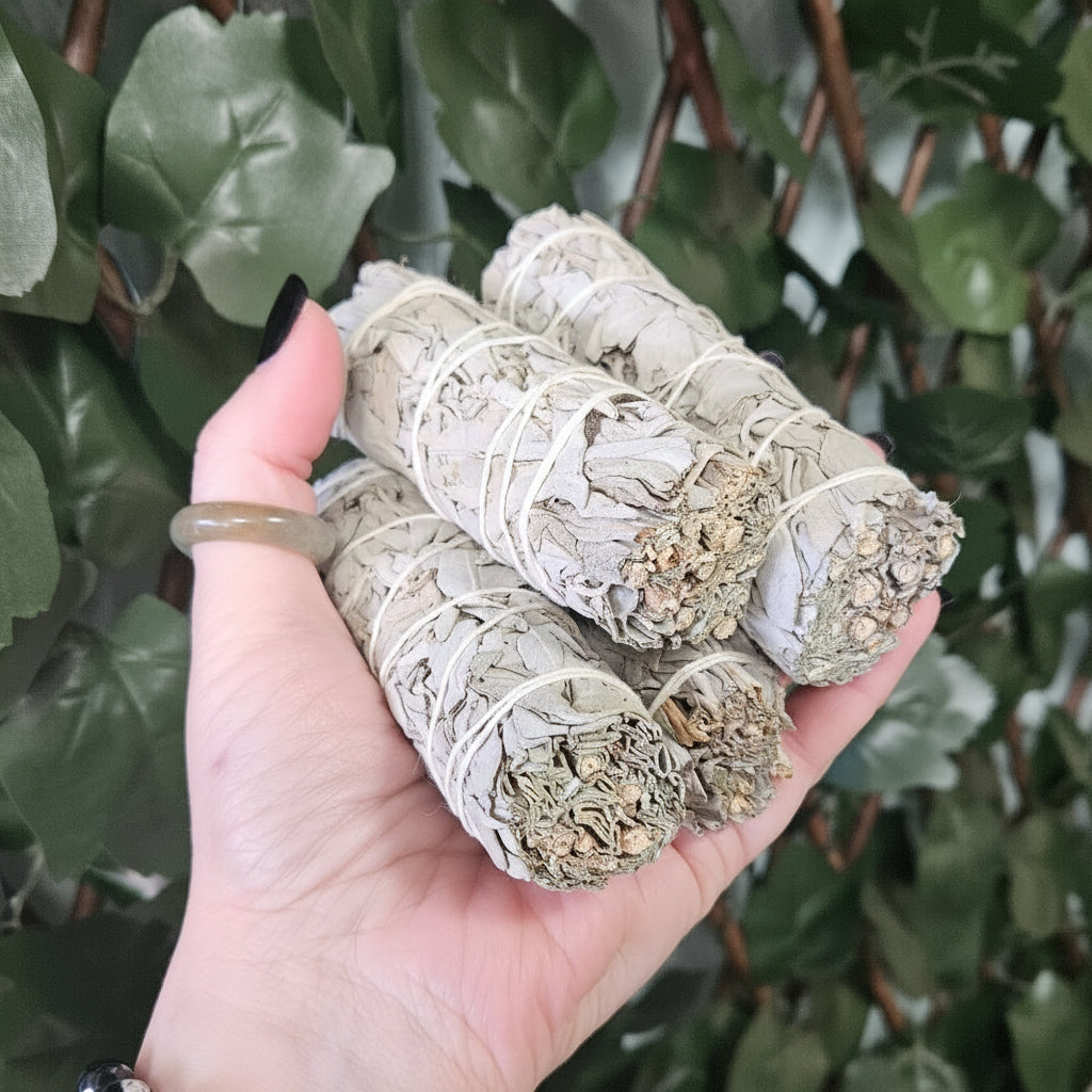 Single White Sage Smudge Stick