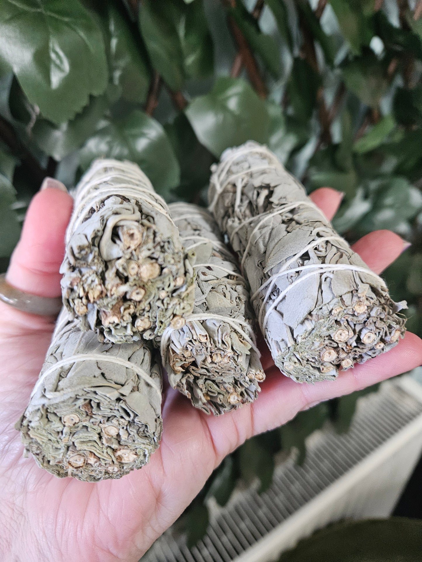 Single White Sage Smudge Stick