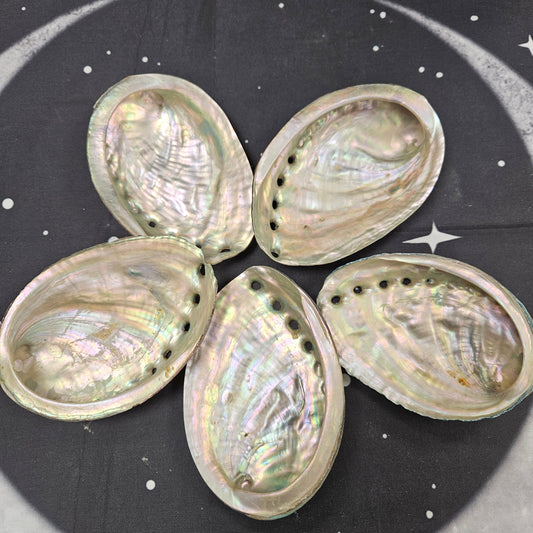 Abalone Shells - Mystical Ritual Tools for Witches & Wiccans