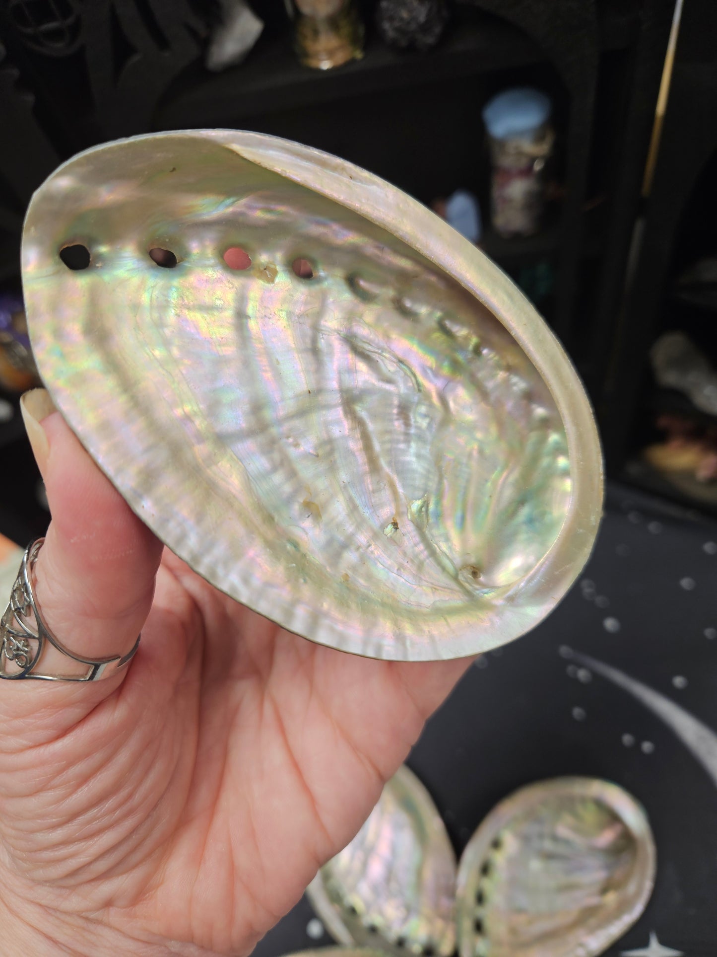 Abalone Shells - Mystical Ritual Tools for Witches & Wiccans