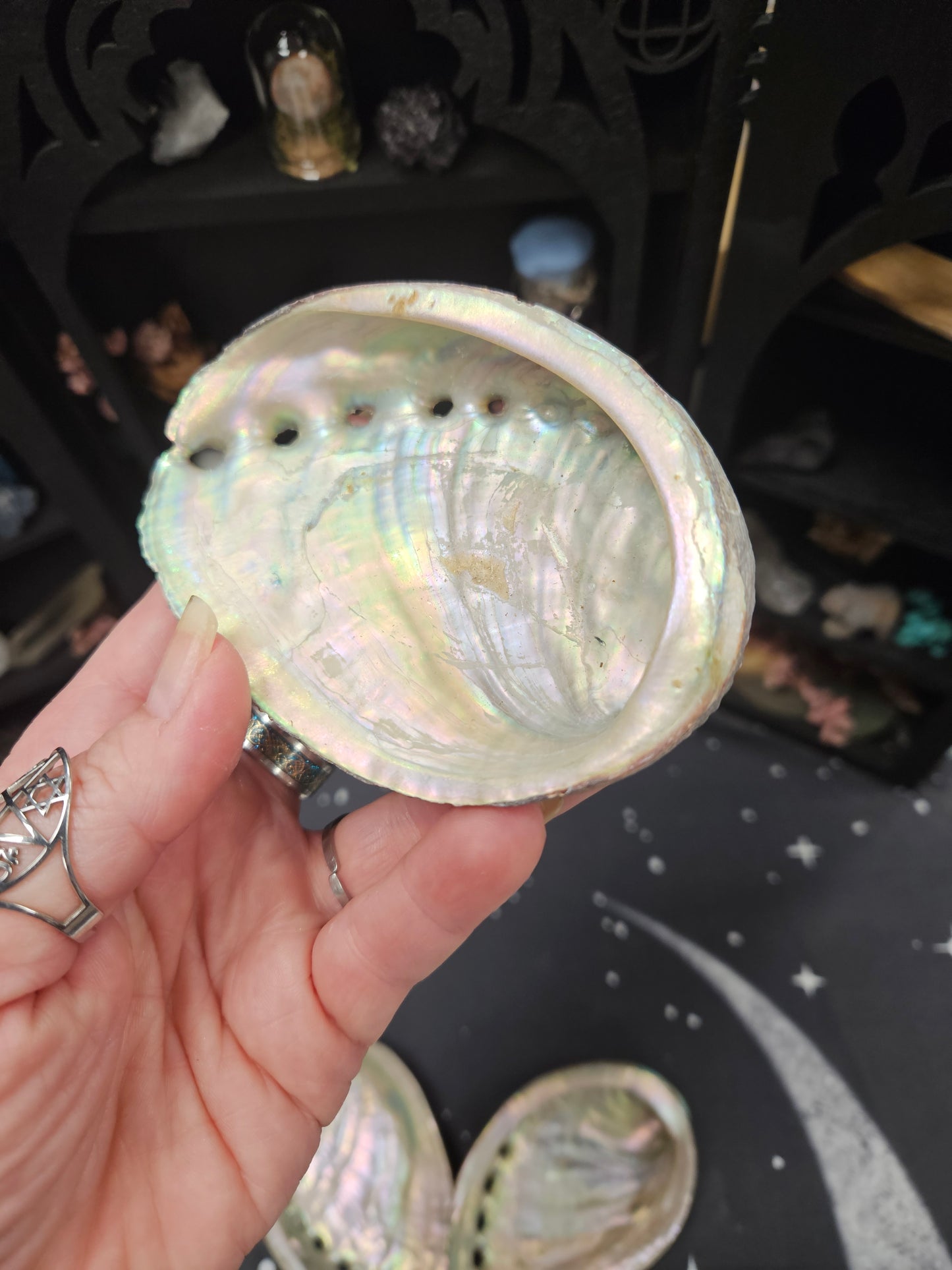 Abalone Shells - Mystical Ritual Tools for Witches & Wiccans