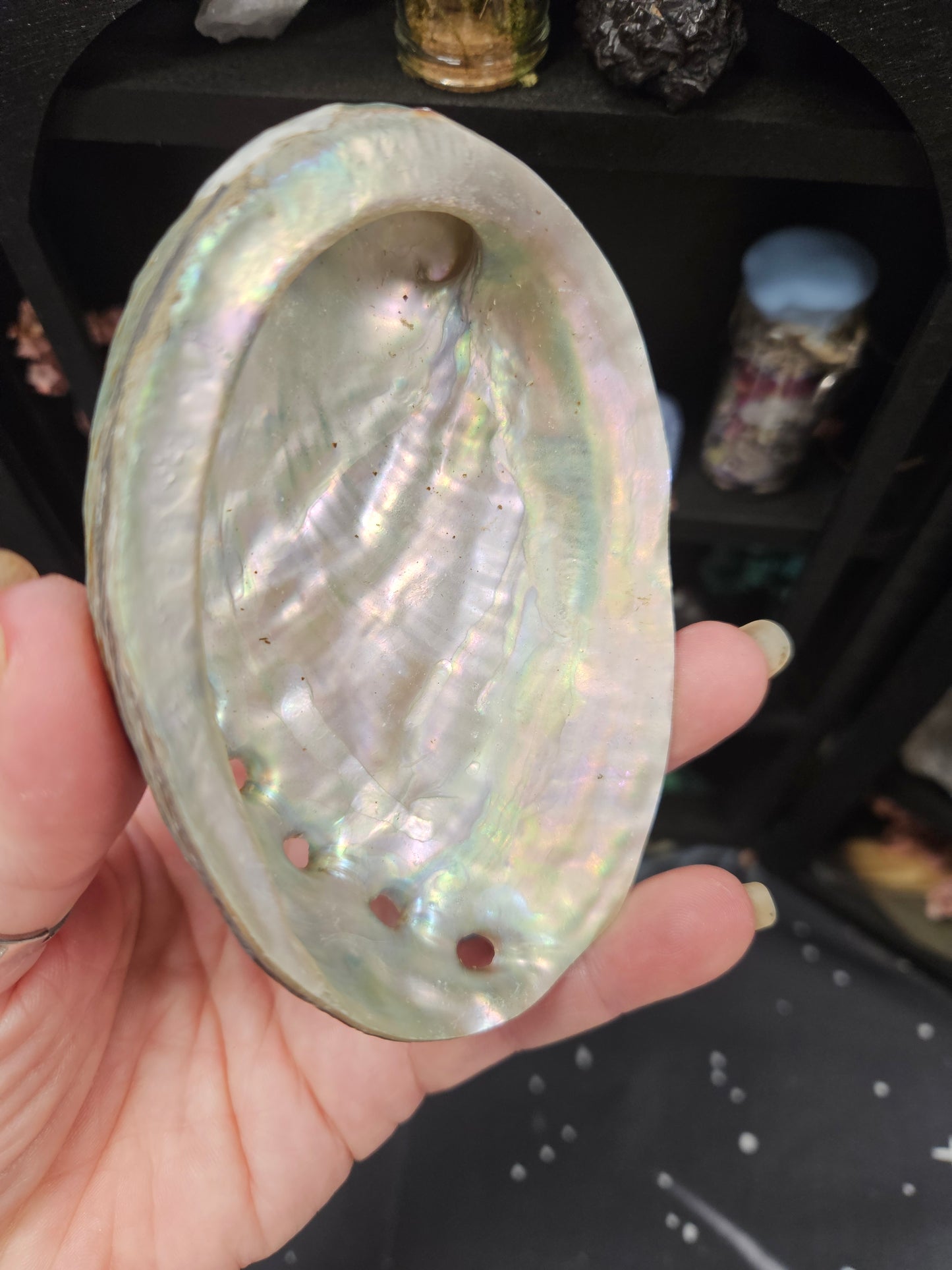 Abalone Shells - Mystical Ritual Tools for Witches & Wiccans