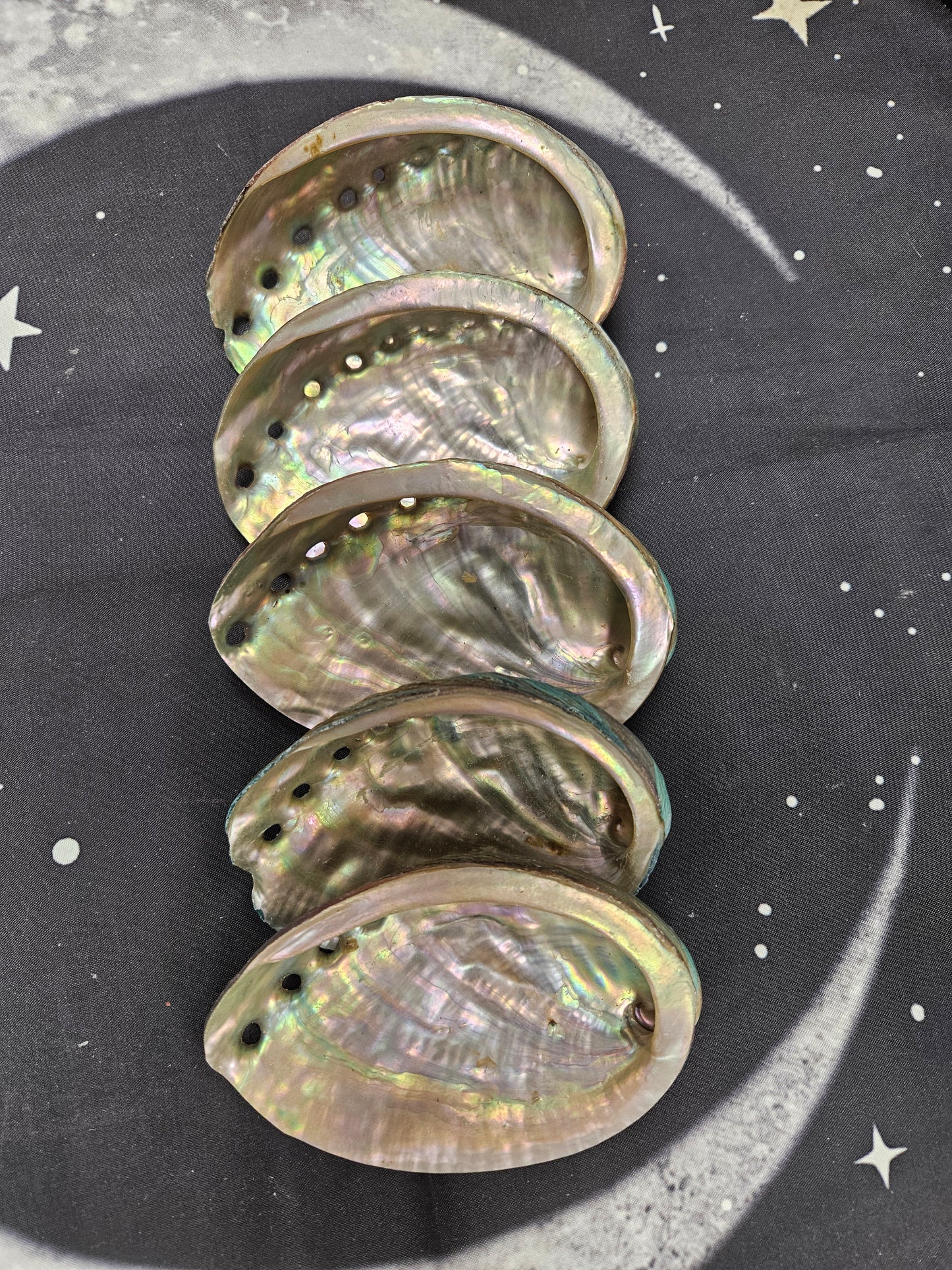 Abalone Shells - Mystical Ritual Tools for Witches & Wiccans