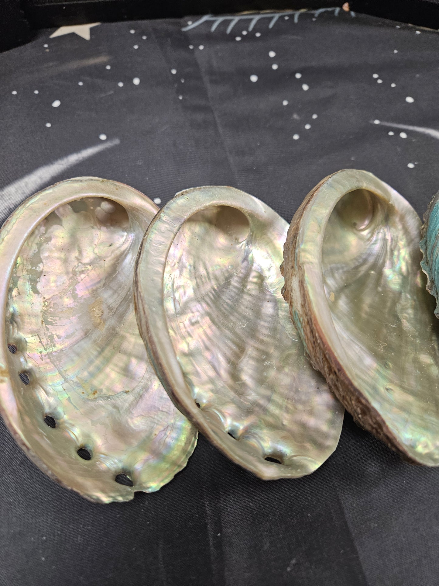Abalone Shells - Mystical Ritual Tools for Witches & Wiccans