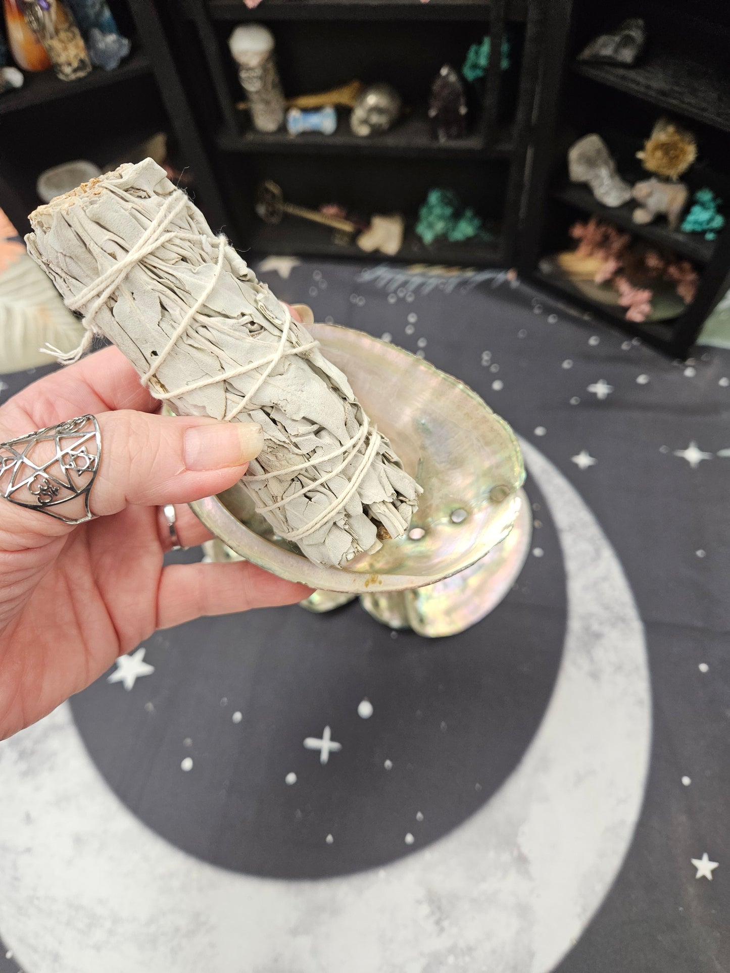 Abalone Shells - Mystical Ritual Tools for Witches & Wiccans