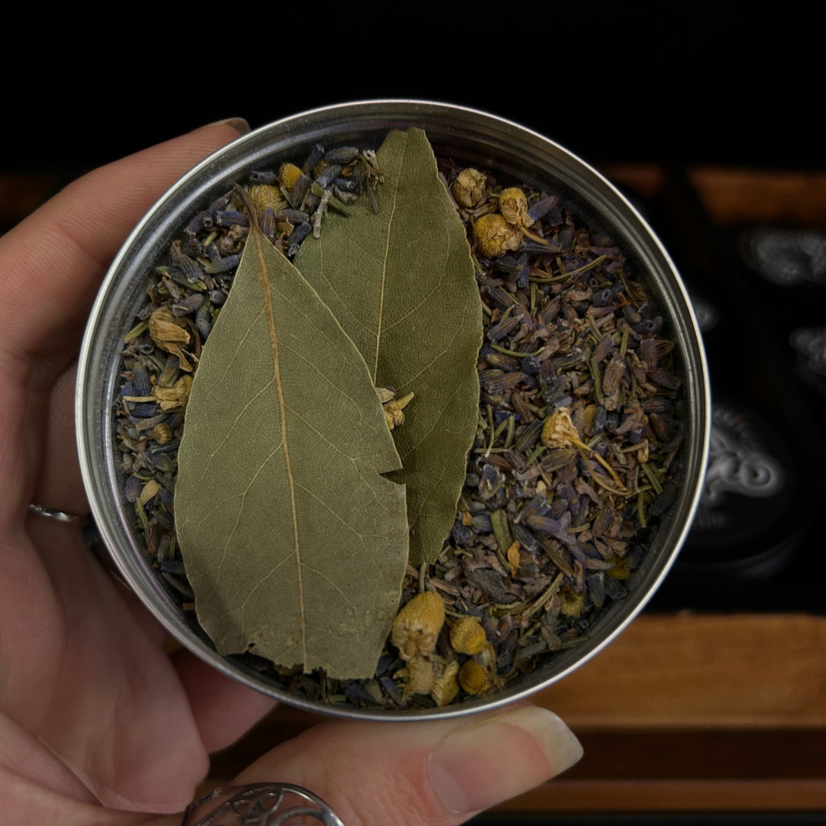 A hand holding a round metal tin filled with loose-leaf herbal tea. The tea blend contains dried bay leaves, lavender buds, and small yellow flowers, with two large natural bay leaves resting on top.