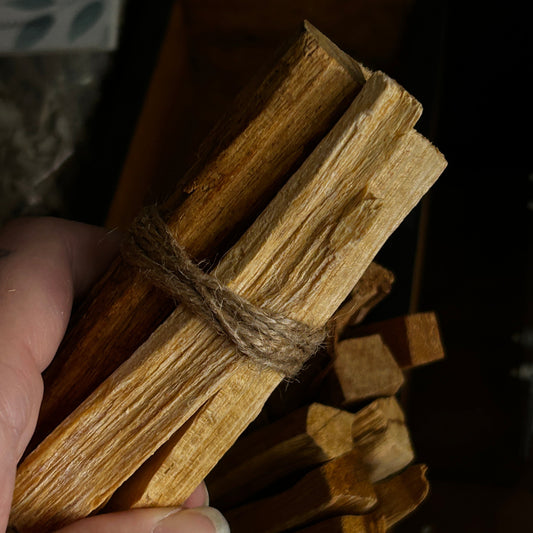 A hand holding a bundle of natural wood sticks tied with twine, with more similar sticks blurred in the background against a dark setting.