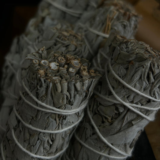 Several dried white sage smudge bundles wrapped in white string, arranged closely together against a dark background.